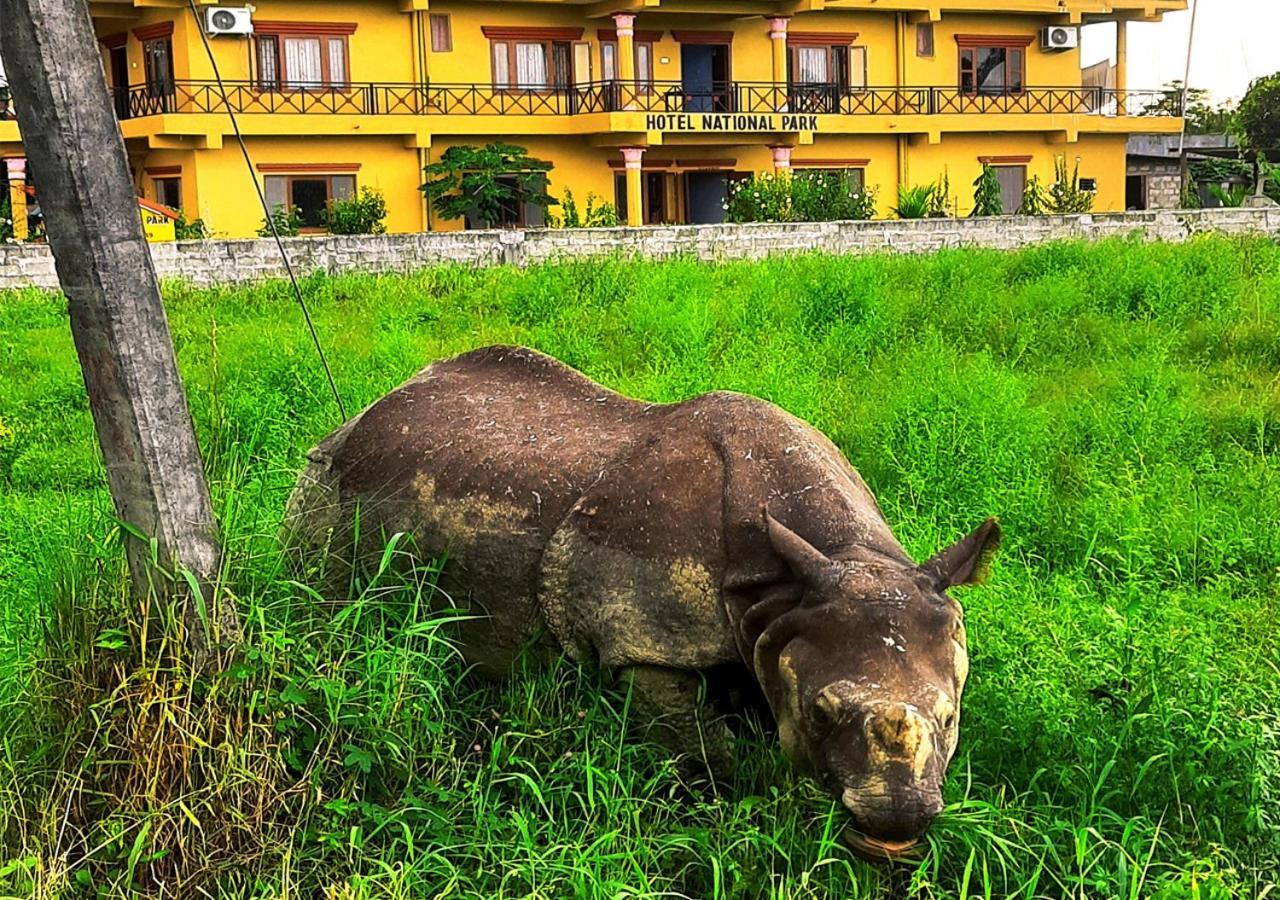 Hotel National Park Sauraha- Homely Stay And Peaceful Location With Jungle Safari Arrangements מראה חיצוני תמונה