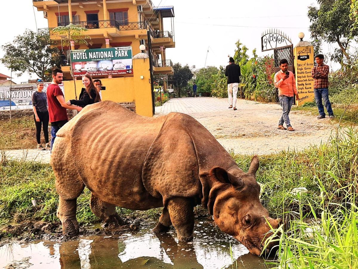 Hotel National Park Sauraha- Homely Stay And Peaceful Location With Jungle Safari Arrangements מראה חיצוני תמונה