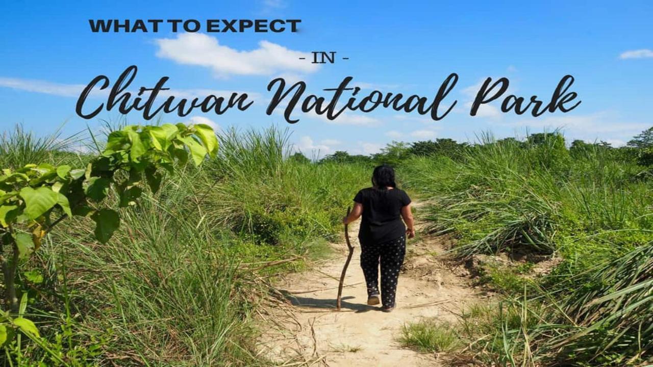 Hotel National Park Sauraha- Homely Stay And Peaceful Location With Jungle Safari Arrangements מראה חיצוני תמונה