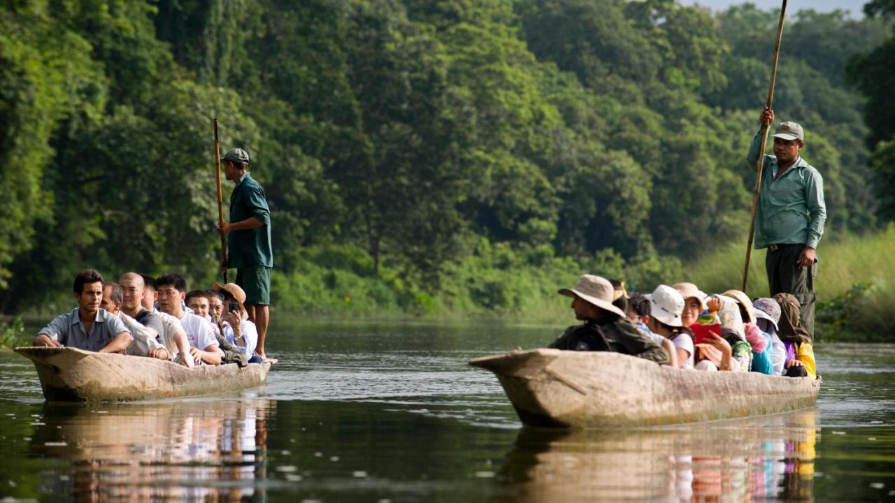 Hotel National Park Sauraha- Homely Stay And Peaceful Location With Jungle Safari Arrangements מראה חיצוני תמונה