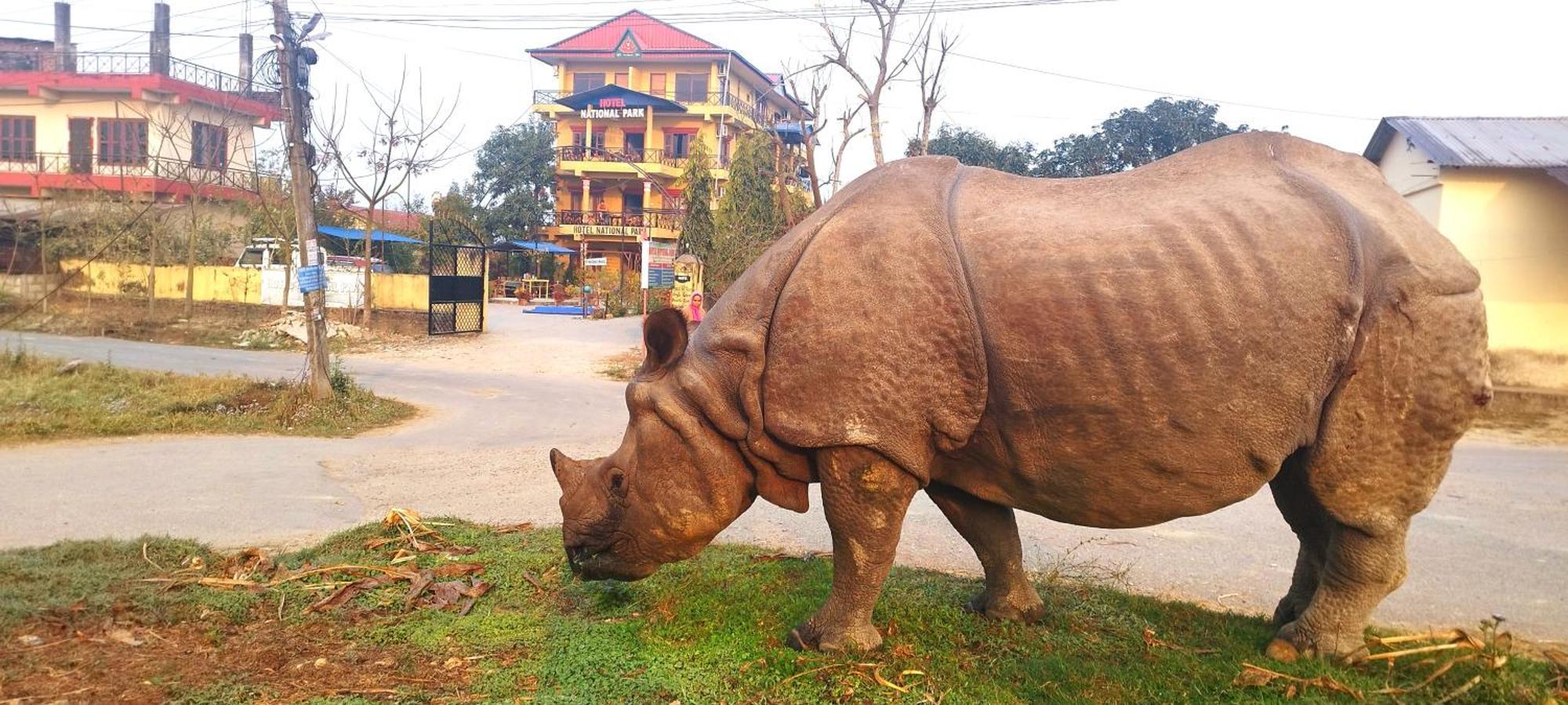 Hotel National Park Sauraha- Homely Stay And Peaceful Location With Jungle Safari Arrangements מראה חיצוני תמונה