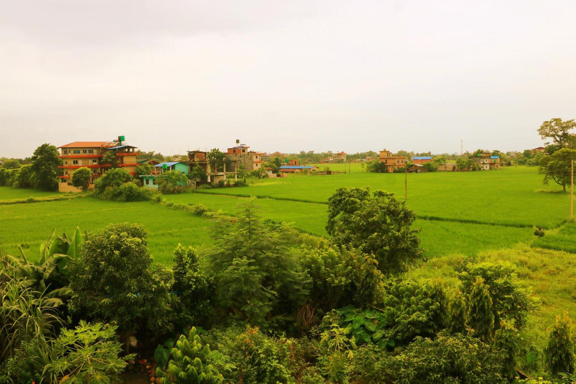 Hotel National Park Sauraha- Homely Stay And Peaceful Location With Jungle Safari Arrangements מראה חיצוני תמונה